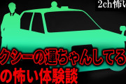 【2ch怖いスレ】タクシーの運ちゃんしてる弟の怖い体験談【ゆっくり解説】