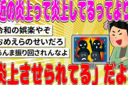 【2chまとめ】最近の炎上って炎上してるってよりも「炎上させられてる」だよな【面白いスレ】