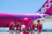 【画像】ピーチ航空の社員さんの胸元がエッチ過ぎるｗｗｗｗ