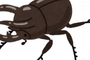 コーカサスオオカブトになりたい男の末路ｗｗｗｗ