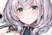 Vtuberファンさん、お金を払って謝罪してしまうｗｗｗｗｗｗｗ