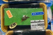 【画像】京都のスーパー、サワガニ一杯を３万８０００円で販売 www