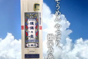 【朗報】ワイ、『損保の糸』を食べて素麺に対する価値観が変わる