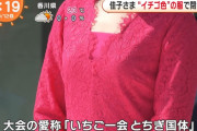 【画像】フジテレビさん、佳子さまのおっぱいの成長を確認してしまう