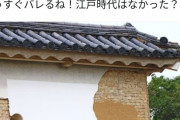 【ガチ画像】江戸時代、存在しなかった