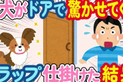 【2ch ほのぼの】子犬がドアを開ける度に驚かせてくるから、逆にトラップ仕掛けた結果…