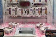 【画像】ゲームセンターさん、エチエチすぎるものを景品にしてしまうｗｗｗｗ