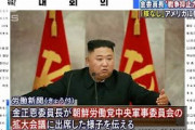 金委員長が戦争抑止力強化を協議　北朝鮮報道(20/07/19)