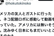 【速報】中国の変態ロボット、凄過ぎるwwwwwww