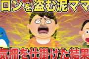 【2chスカッと】畑に侵入しメロンを盗む泥ママ対策に電気柵設置→泥ママが感電したｗ【スカっとする話】