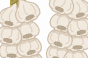 【疑問】ニンニク←食い過ぎたらどうなる？？？