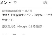 【画像】トー横『3人で30kだけどセッ■スする？』←この女子なら悩むと話題に