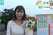 【画像】市村紗弥香さんの爆乳でNHKの天気予報が人気になってしまう