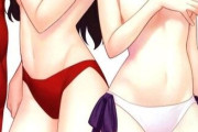 【画像】どっちの女の子とエッチしたい？www