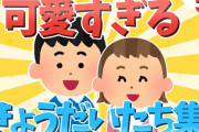【2chほのぼの】可愛すぎる兄弟姉妹たちwww3話【ゆっくり解説】