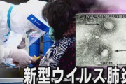 米英研究チーム「武漢だけで新型肺炎に35万人が感染」