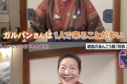 【悲報】大洗住民「ガルパンおじさんは1人で来る」