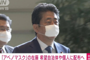 【悲報】アベノマスク再配布決定wwwwwwwwwwww