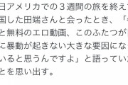 有識者、正論　「日本で暴動が起きない理由。それは“500円のうますぎる牛丼”とエロ動画である」