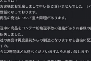 【超悲報】ワイのラブドール　コンテナ船事故に巻き込まれて海上漂流wwww