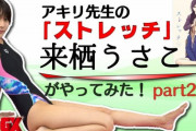 【悲報】競泳水着とかいう速く泳ぐためなのにHな姿になっちゃう水着