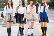 女子高生とかいう男を犯罪に走らせてしまう完ぺきな存在ｗｗｗ
