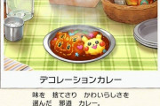 【朗報】ポケモン最新作のカレー図鑑、皮肉が上手くてセンスがあると話題にｗｗｗｗ