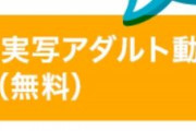 【画像】シコる時のおかずランキングが発表される