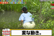 【GIF有】田中瞳アナ、巨尻を上下に弾ませる大サービス