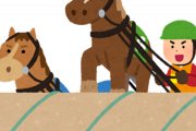 【あるある】競馬場で競馬観たことある奴しか分らないことがコレらしいｗｗｗｗｗｗ