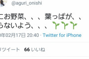 【悲報】超人気声優さん、とんでもないことをつぶやくｗｗｗｗｗｗｗｗ
