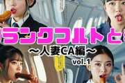 【フル無料】フランクフルトと私〜人妻CA編〜 vol.1hitomi