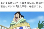 【悲報】最近の日本、女が嫌いな若い男性が増えまくる…なぜこんな国になった？？