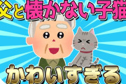 【2ch面白いスレ】父と懐かない子猫が可愛すぎるｗｗｗ【ゆっくり解説】