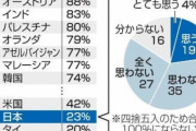 「自国政府はコロナにうまく対処してると思うか」アンケート、日本は29カ国中28位　何故なのか