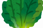 【画像】ほうれん草の品種名、めちゃくちゃ強そうな名前ばっかりでワロタｗｗｗｗｗｗｗｗｗｗｗ