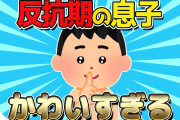 【2ch面白いスレ】若者、風呂にすら入らなくなる【ゆっくり解説】