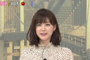 【画像】新井恵理那アナが早朝からパイパイを突き出してしまう