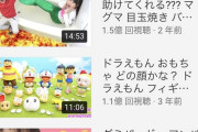 謎の子供のYoutuber、5億再生ｗｗｗｗｗｗｗｗ
