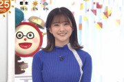 【画像】原田葵アナ、横乳がデカすぎるｗｗｗｗｗｗ ※gifあり