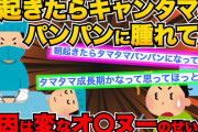 【2ch面白スレ】変なオ●ヌーしてたせいでタマタマ摘出する事になった【ゆっくり解説】