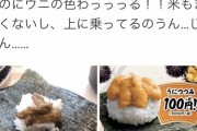 【画像】はま寿司のウニｗｗｗｗｗｗｗｗｗｗｗｗｗｗｗｗｗｗｗｗｗｗｗｗ