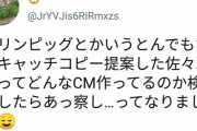 【悲報】Twitter民たち「渡辺直美を豚にしようとした人が今まで作ってきたCMを見て色々察した」