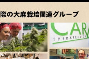 【画像】日本人が大麻に抱くイメージがヤバすぎると話題にｗｗｗ