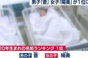【画像】今年最も赤ちゃんに命名された名前ランキングｗｗｗｗｗ