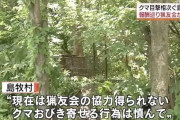 村議会「猟友会さん！熊退治は年間最大240万で一括受けして」猟友会「いやです」