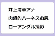 井上清華アナ｜ソレイユの丘アスレチックで肉感的なハーネスお尻をローアングル撮影される