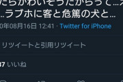 【悲報】死にかけの犬、ラブホに入って10分で死ぬ