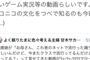 【朗報】最近の小学生 「東方のゲームはよく知らないけど、アリスやゆっくりは知ってるよ！」
