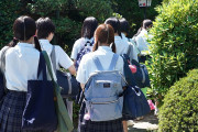 修学旅行でちょっとだけ大胆になったひよこビッチ達に告られまくったひと夏のハーレム